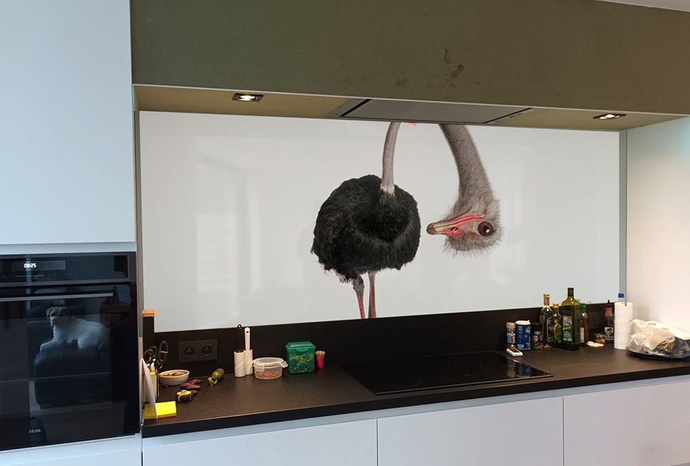 Zambala_struisvogel